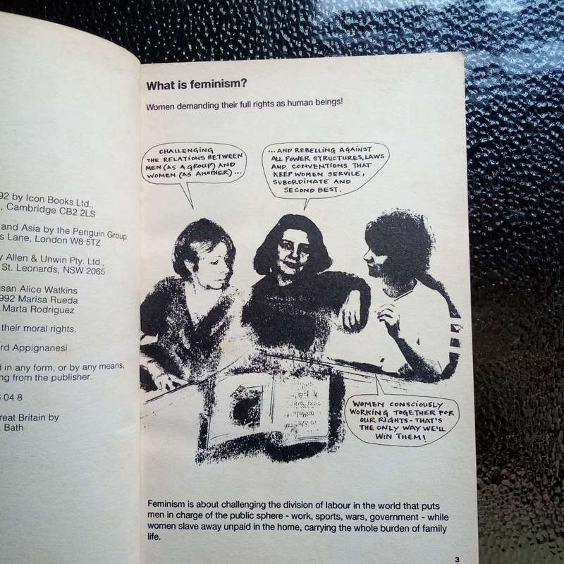 Feminism for Beginners by Susan Alice Watkins  Your Introductory Guide to Feminist Ideas