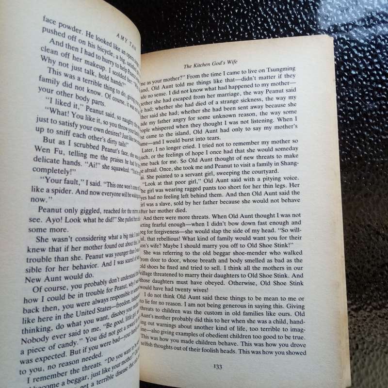The Kitchen God's Wife by Amy Tan  A Journey of Resilience, Culture, and Family Bonds