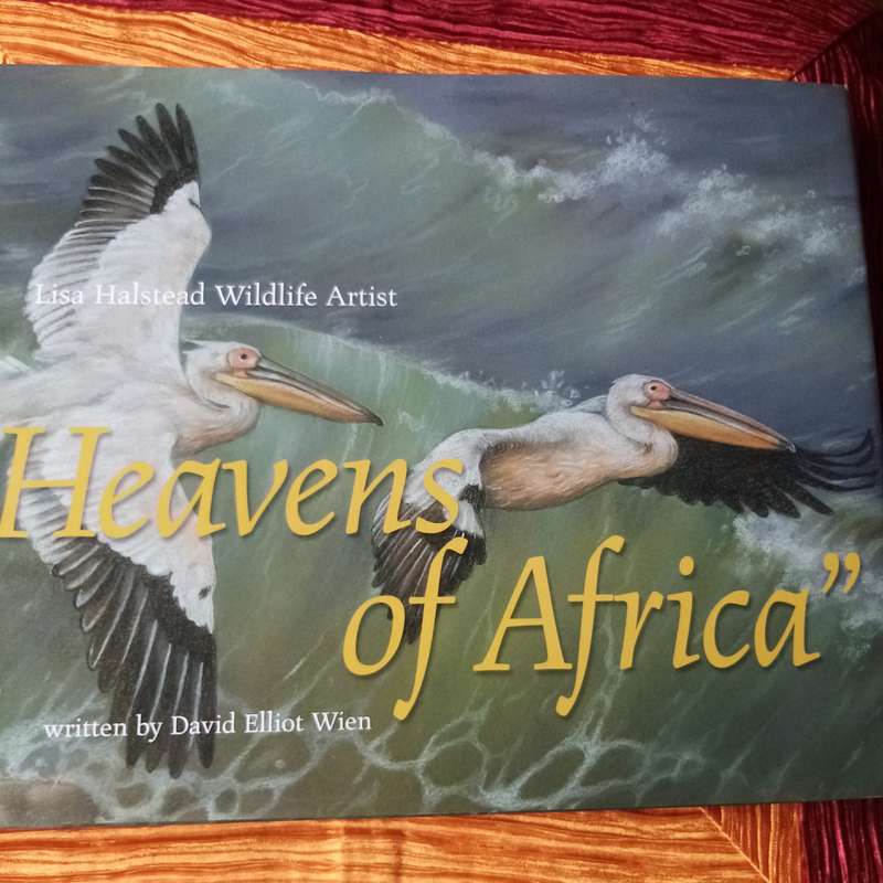 Heavens of Africa by David Elliot Wien | Captivating Journeys Through Africas Skies and Landscapes