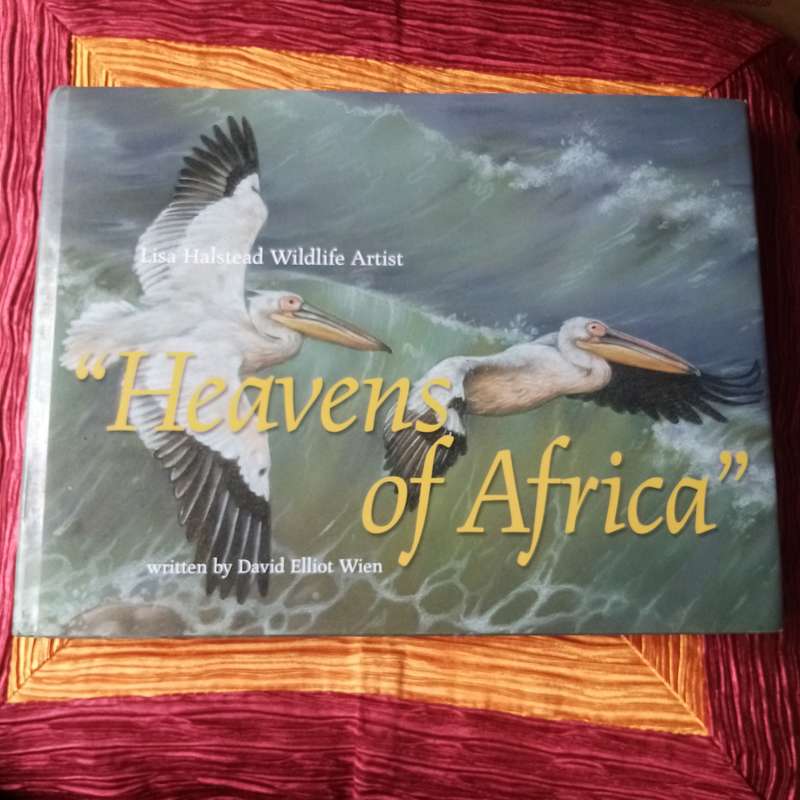 Heavens of Africa by David Elliot Wien | Captivating Journeys Through Africas Skies and Landscapes