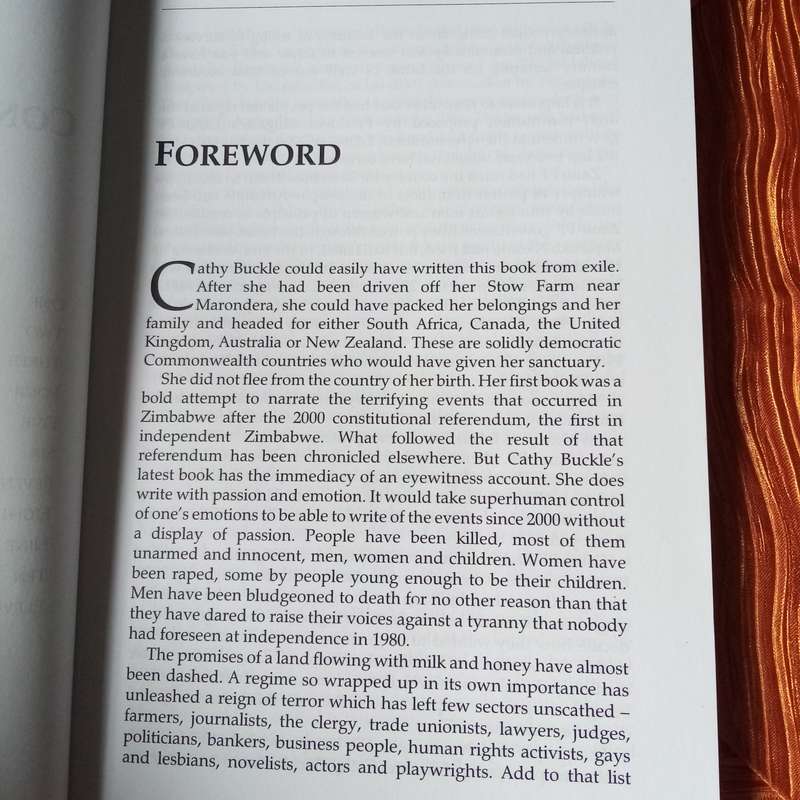 Beyond Tears: Zimbabwe's Tragedy by Cathrine Buckle | A Heartfelt Account of Resilience and Loss