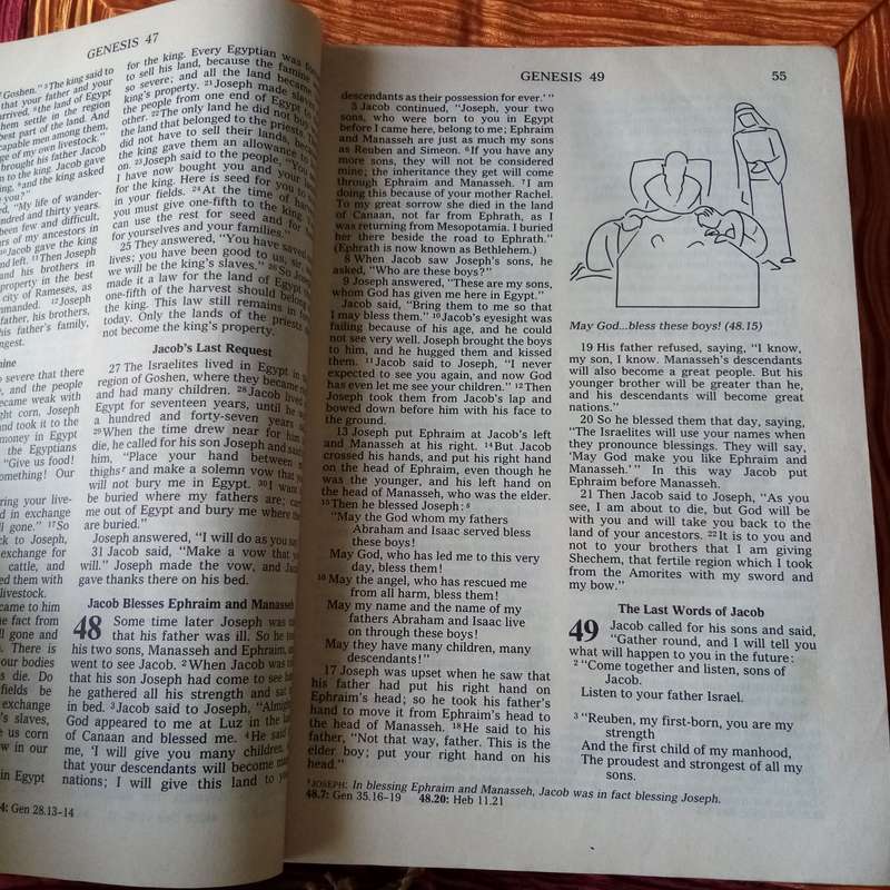 Bible: Holy Bible - Good News Edition (1985) | Accessible Scripture for Everyone