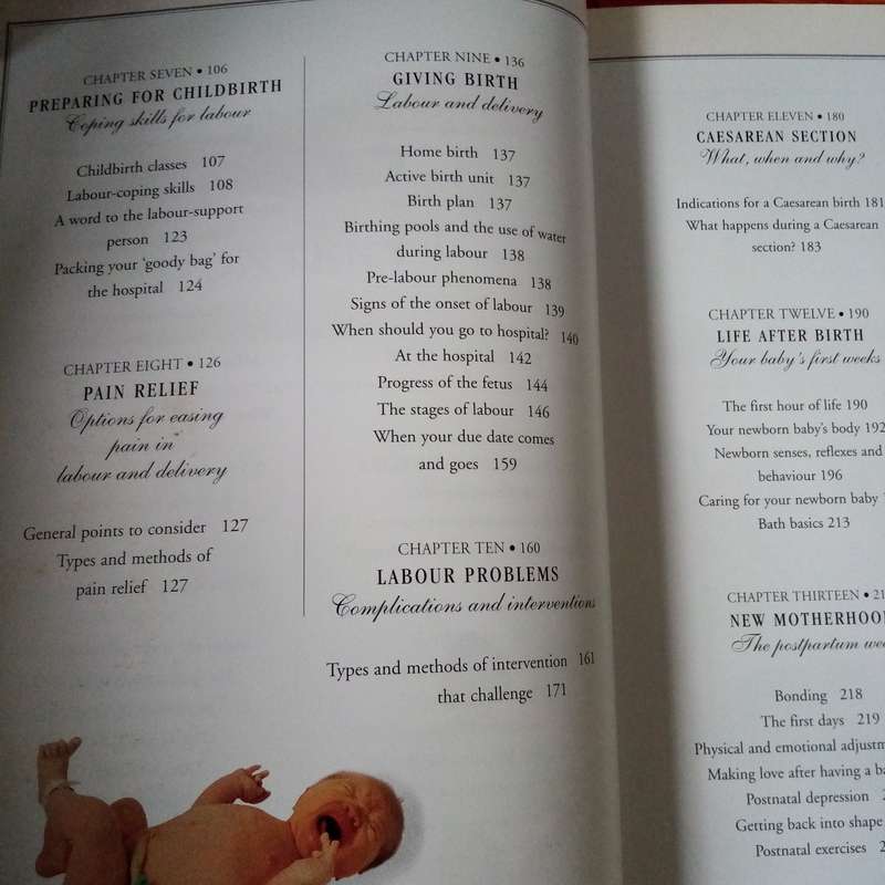 The Pregnancy & Birth Book - Your Comprehensive Guide to a Healthy Pregnancy and Delivery