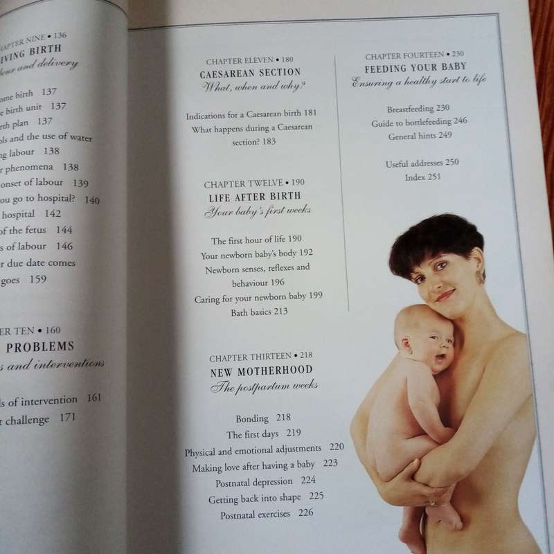 The Pregnancy & Birth Book - Your Comprehensive Guide to a Healthy Pregnancy and Delivery
