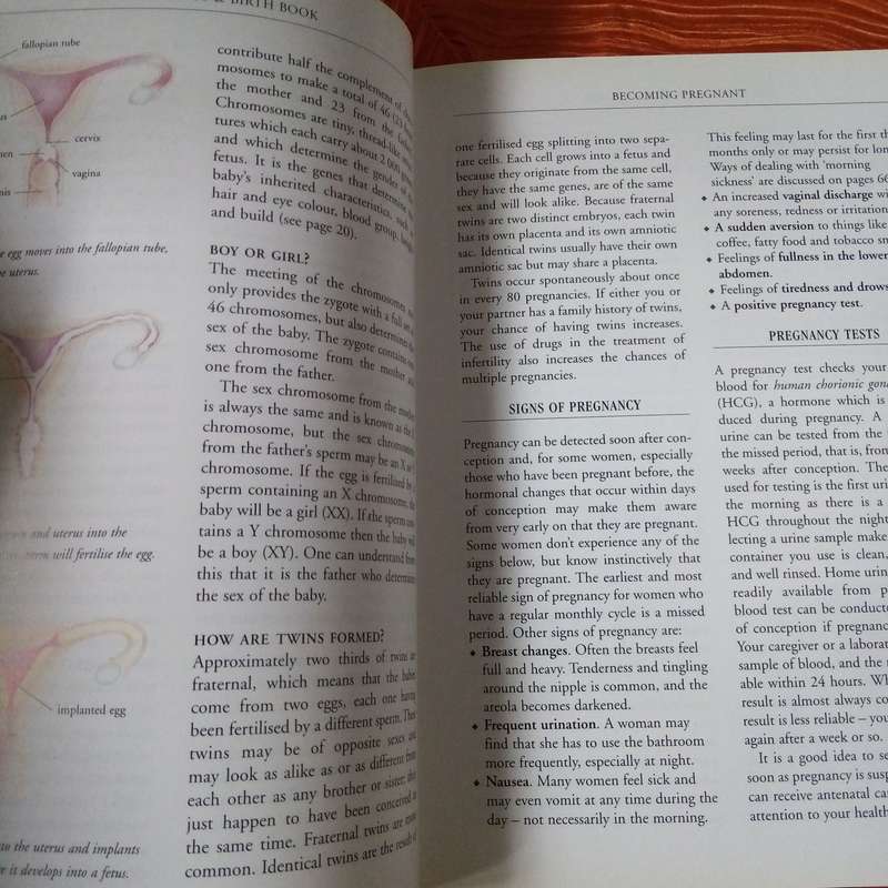 The Pregnancy & Birth Book - Your Comprehensive Guide to a Healthy Pregnancy and Delivery
