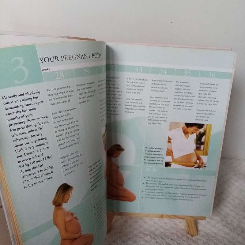 Your Pregnancy Bible by Dr. Anne Deans - The Essential Guide to a Healthy Pregnancy
