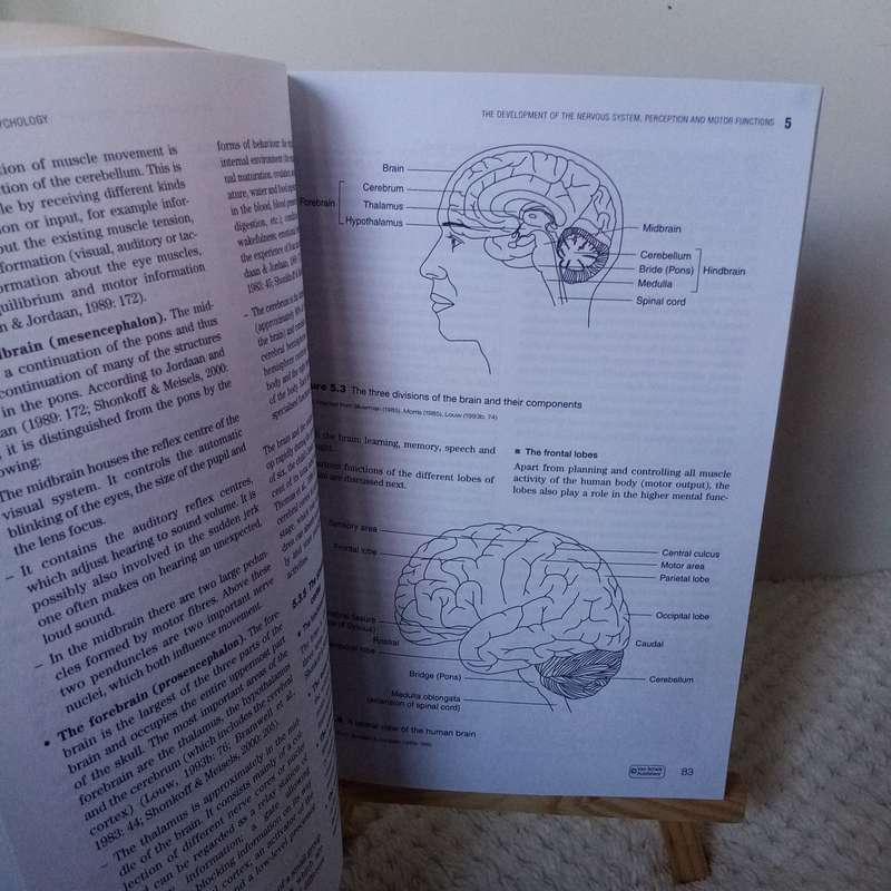 The Young Child in Context by Marike W. de Witt: A Comprehensive Guide to Early Childhood Developmen