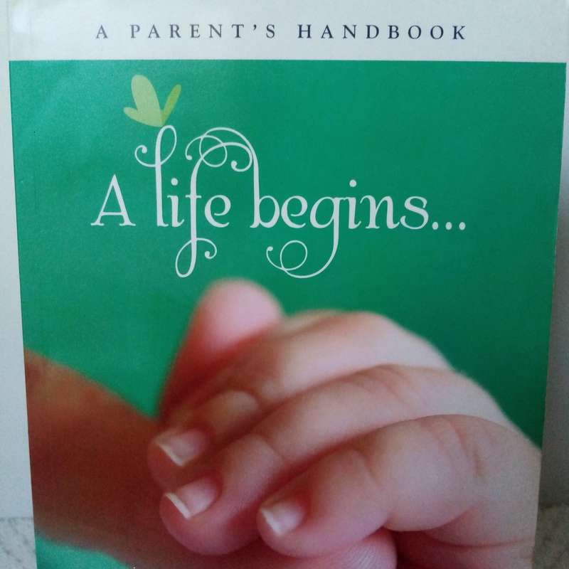 A Life Begins: Transformative Stories of Hope and New Beginnings