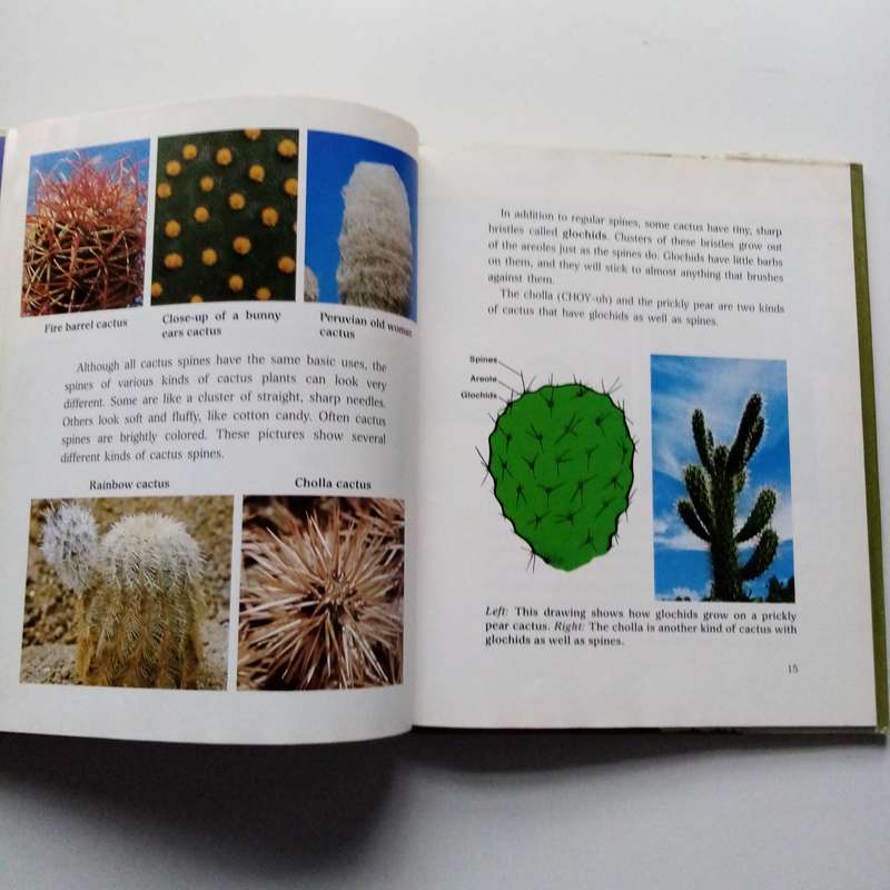 Cactus: A Learner's Natural Science Book | An Illustrated Guide to Cacti for Curious Minds