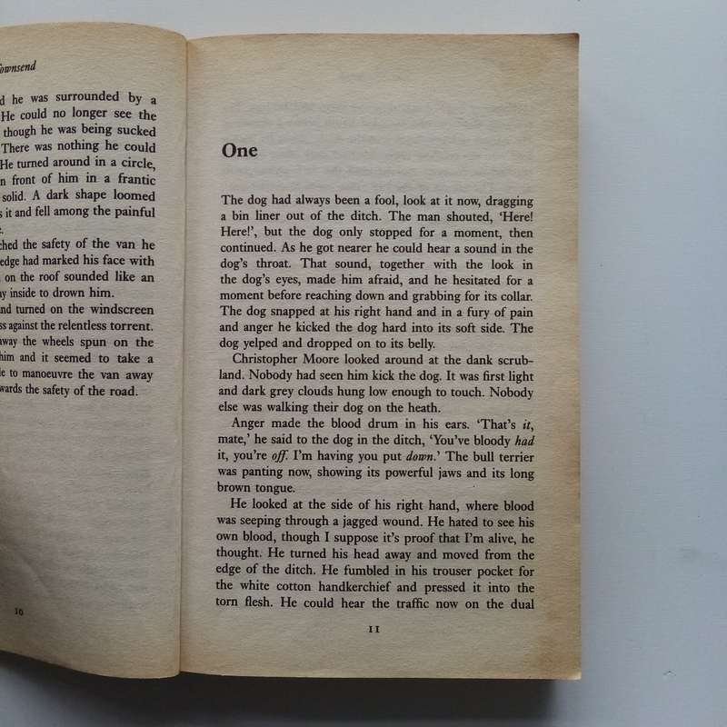 Ghost Children: A Haunting Tale of Loss, Love, and Redemption by Sue Townsend