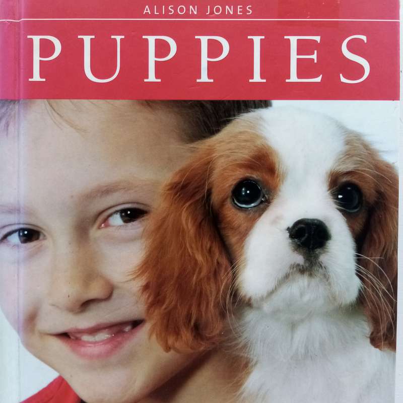 Puppies by Alison Jones: Giving Your Pet the Best Start in Life