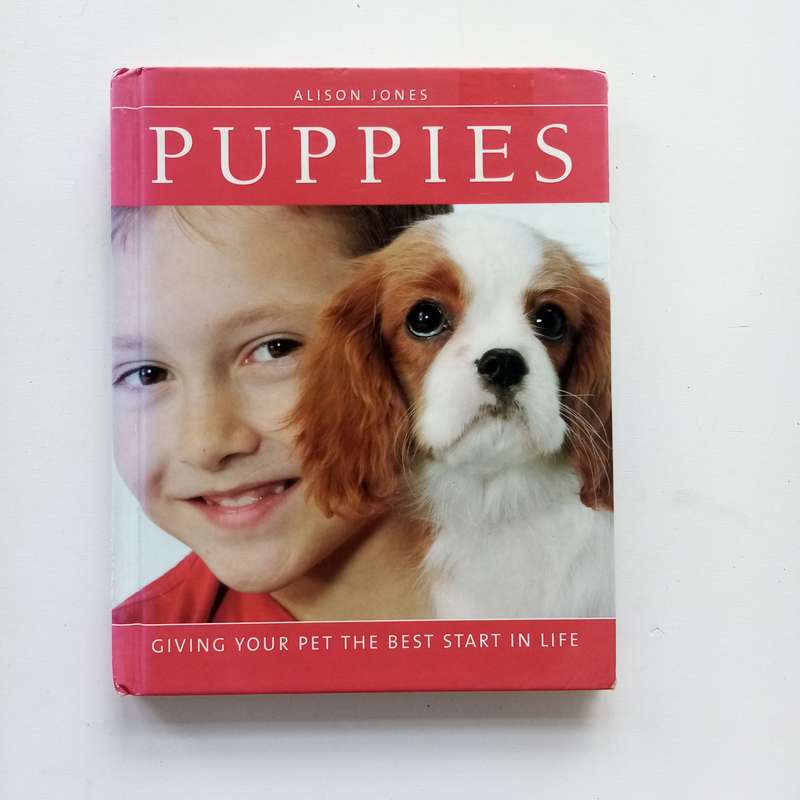 Puppies by Alison Jones: Giving Your Pet the Best Start in Life