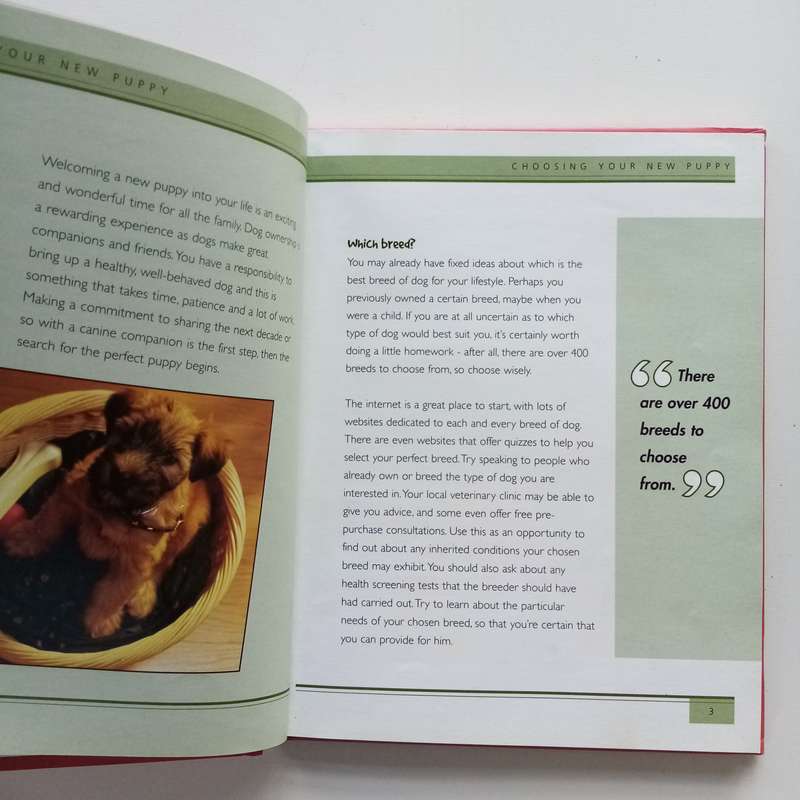 Puppies by Alison Jones: Giving Your Pet the Best Start in Life