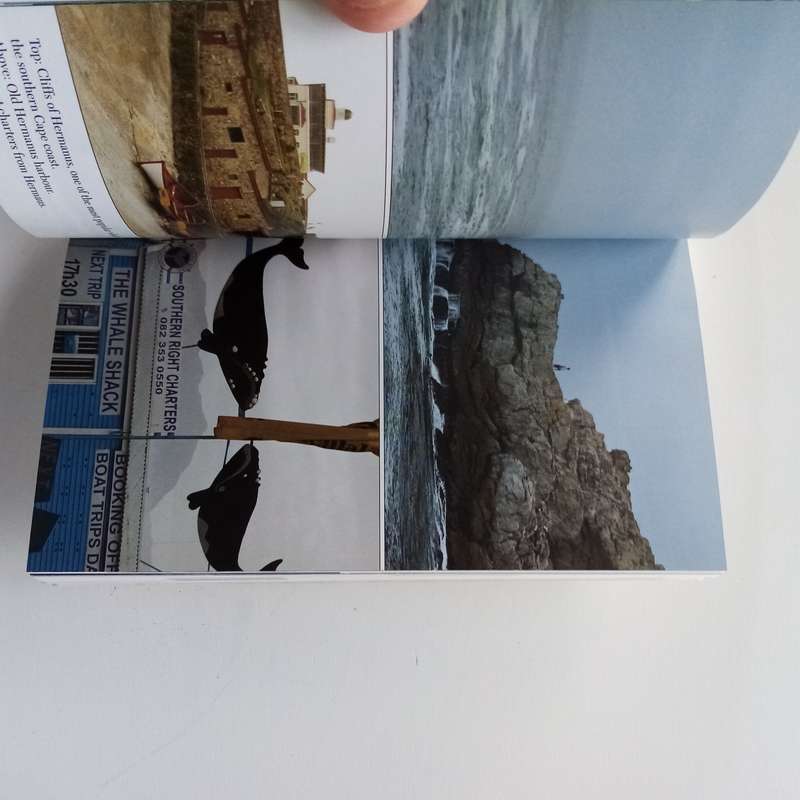 The Whale Trail of South Africa by Allan Davie: A Comprehensive Guide to Whale Watching