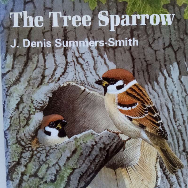 Tree Sparrow by J. Denis Summers-Smith: A Comprehensive Study of a Charming Bird
