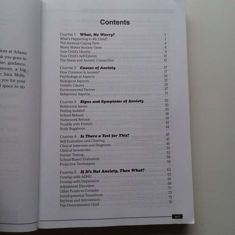The Everything Parents Guide to Children with Anxiety by Ilyne Sandas  Supportive Strategies