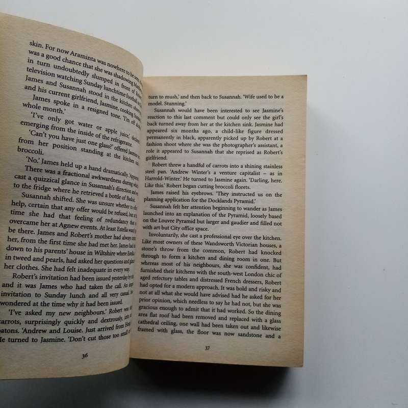 Husbands & Other Lovers by Jane Elizabeth Varley - A Tale of Love, Lies, and Secrets