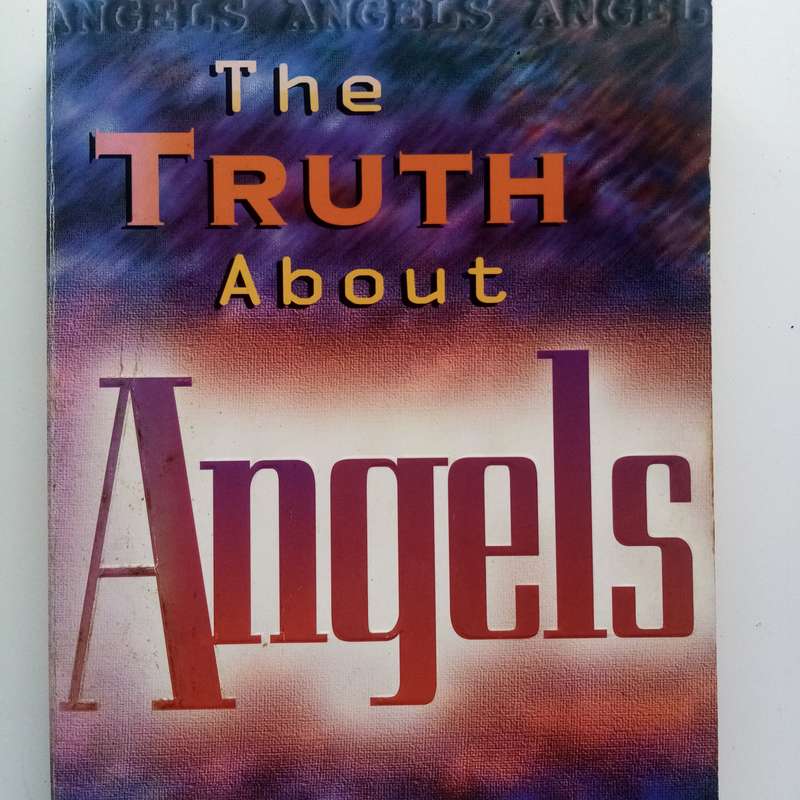 The Truth About Angels by Terry Law - Spiritual Insights into the Supernatural Realm