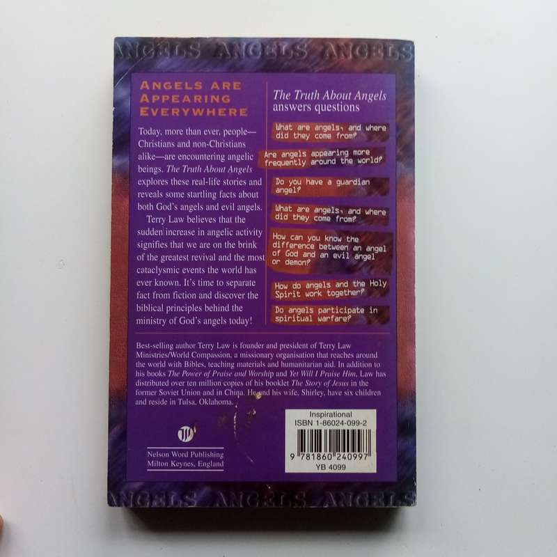 The Truth About Angels by Terry Law - Spiritual Insights into the Supernatural Realm