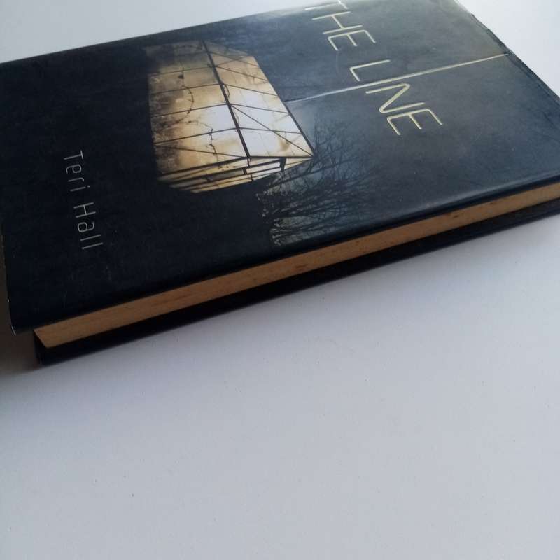The Line: A Gripping YA Thriller by Teri Hall