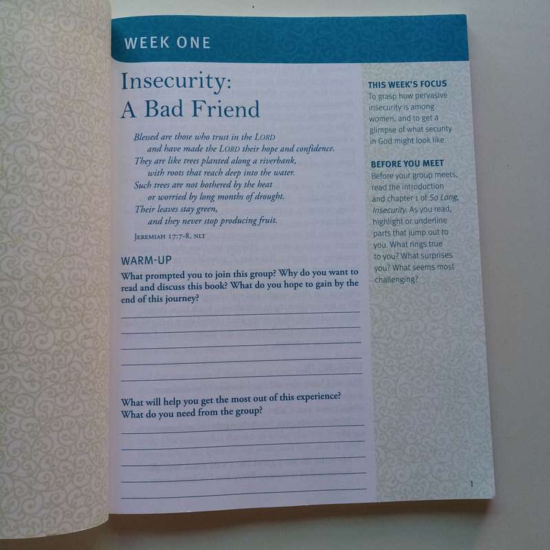 So Long, Insecurity: A Group Experience by Beth Moore - Overcome Doubts and Embrace Confidence