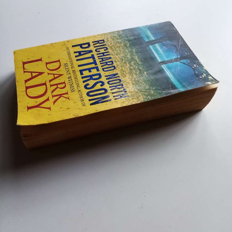 Dark Lady by Richard North Patterson  A Riveting Legal Thriller