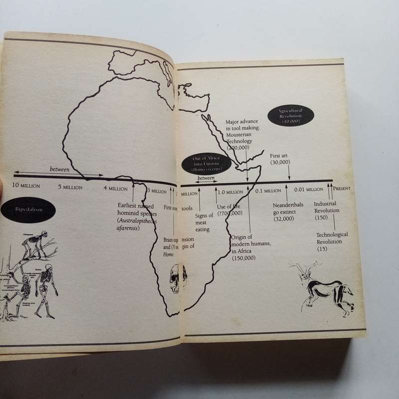 Origins Reconsidered by Richard Leakey & Roger Lewin  A Groundbreaking Exploration of Human Evoluti