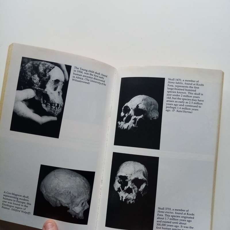 Origins Reconsidered by Richard Leakey & Roger Lewin  A Groundbreaking Exploration of Human Evoluti