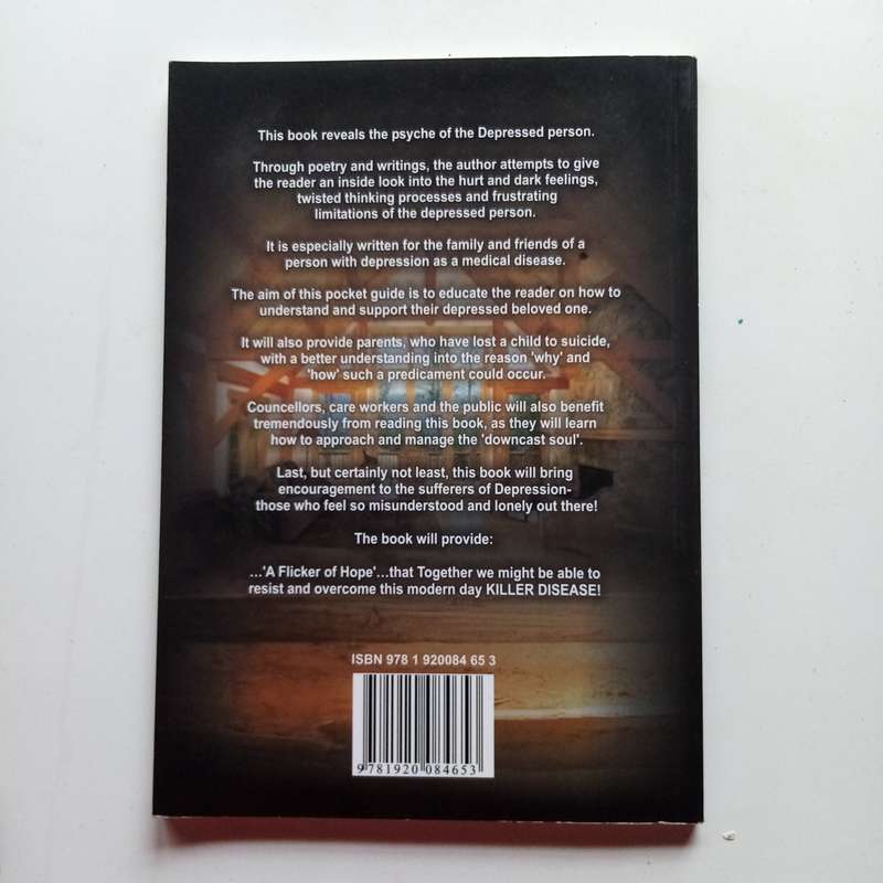 Inside Story: A Pocketguide for Understanding Depression  Reda-Lene Spilhaus