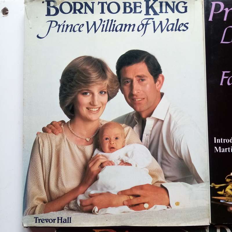 A Vintage Collection of 4 Books on Lady Diana's Fashion & Born to Be King (Prince Charles)