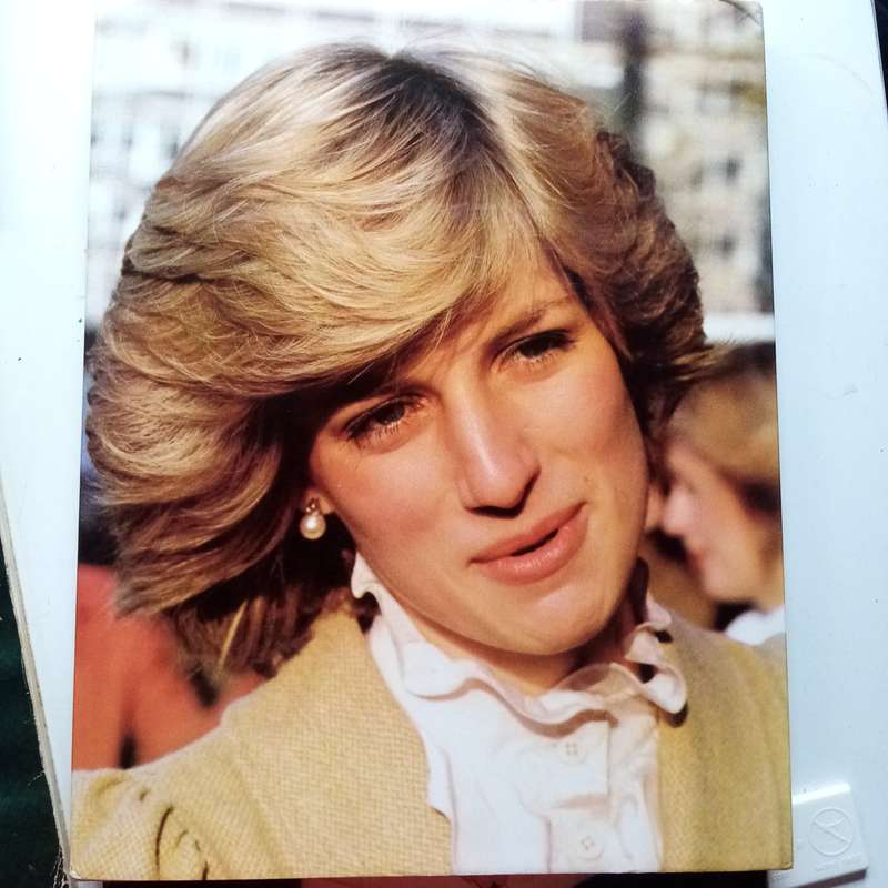 A Vintage Collection of 4 Books on Lady Diana's Fashion & Born to Be King (Prince Charles)