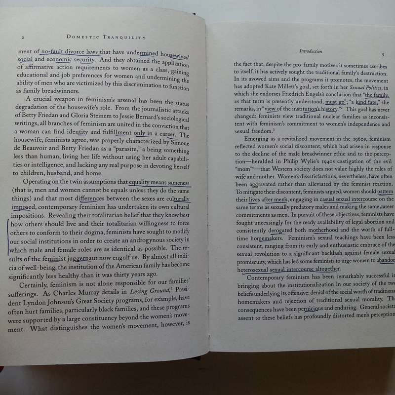 Domestic Tranquility: A Brief Against Feminism by F. Carolyn Graglia  A Provocative Exploration