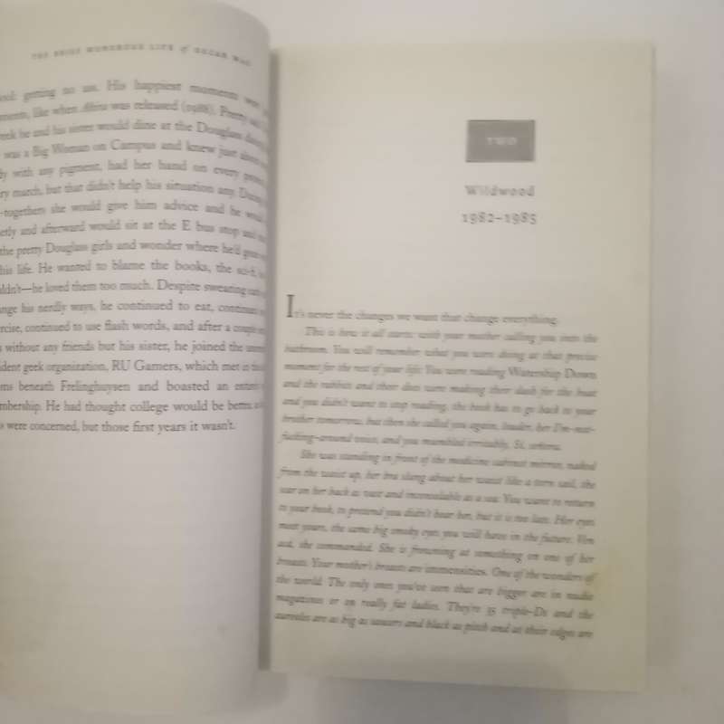 The Brief Wondrous Life of Oscar Wao by Junot Díaz  A Tale of Love, Tragedy, and Family Legacy
