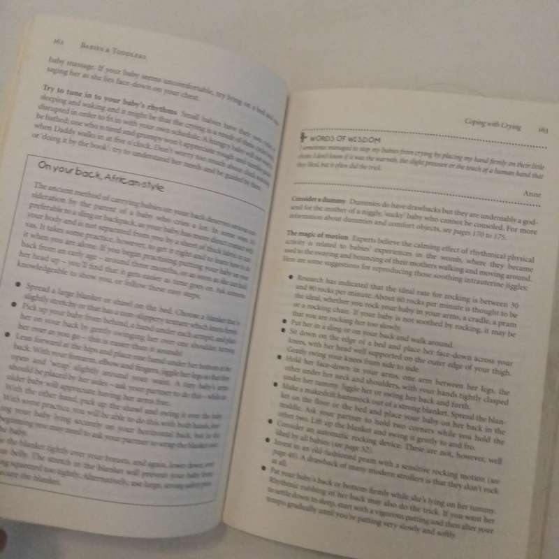Babies and Toddlers: How to Survive Them by Jane-Anne Hobbs  Your Essential Guide to Parenting