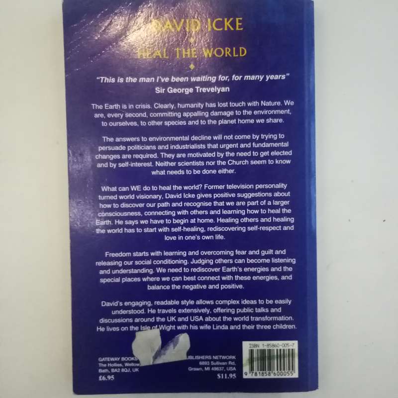 Heal the World: A Do-It-Yourself Guide to Human & Planetary Transformation by David Icke