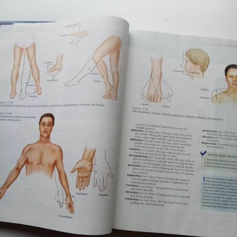 Hole's Essentials of Human Anatomy and Physiology by David N. Shier | Comprehensive Textbook