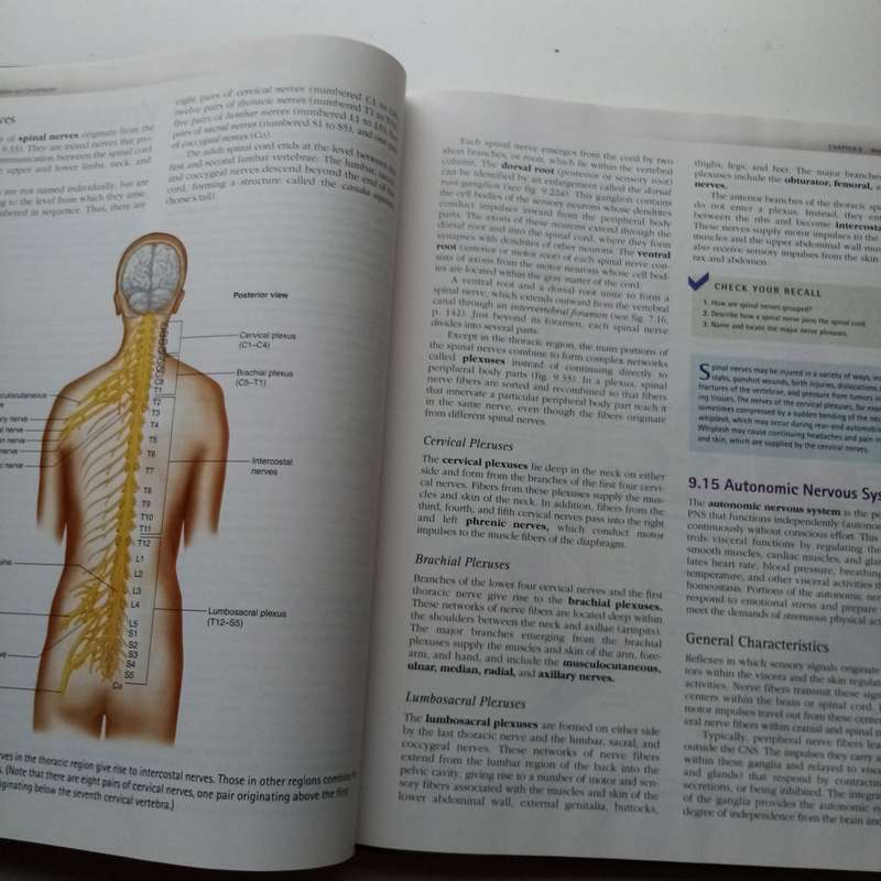 Hole's Essentials of Human Anatomy and Physiology by David N. Shier | Comprehensive Textbook
