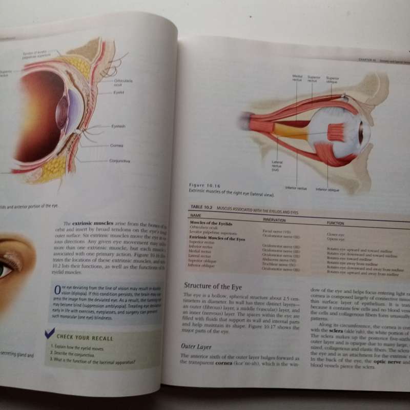 Hole's Essentials of Human Anatomy and Physiology by David N. Shier | Comprehensive Textbook