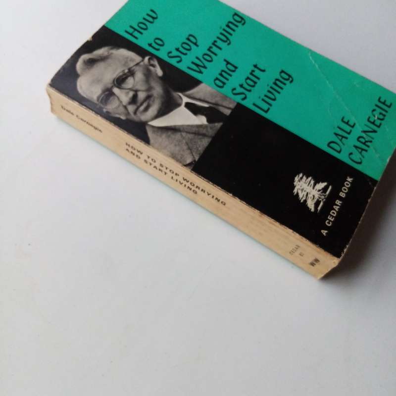 How to Stop Worrying and Start Living by Dale Carnegie | Self-Help Guide for Mental Health & Busines