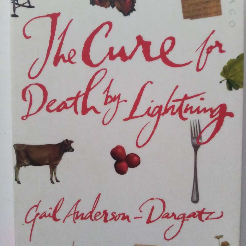 The Cure for Death by Lightning by Gail Anderson | A Gripping Novel of Family, Secrets, and Survival