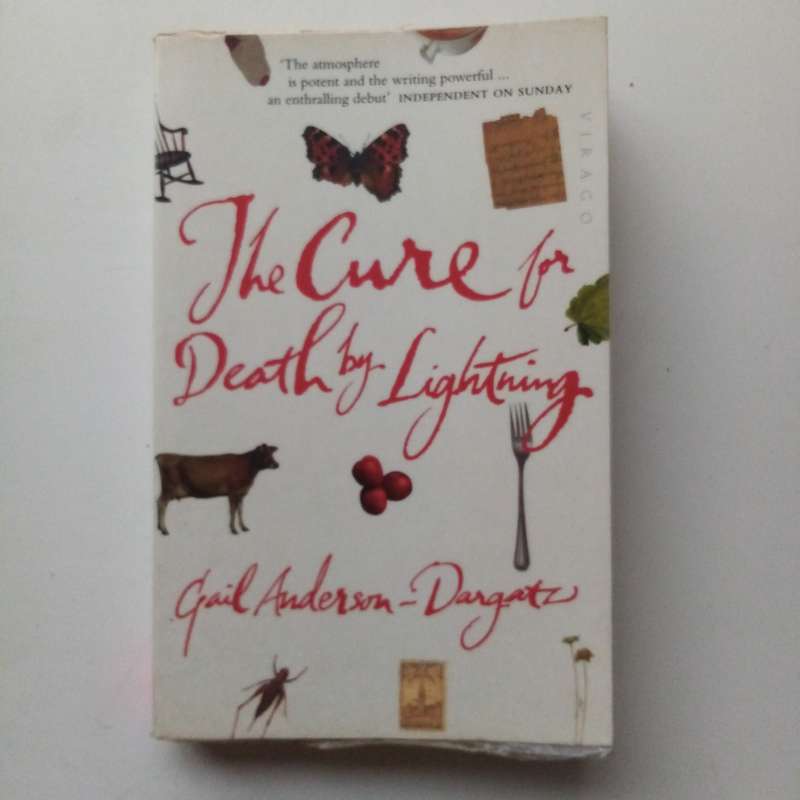 The Cure for Death by Lightning by Gail Anderson | A Gripping Novel of Family, Secrets, and Survival