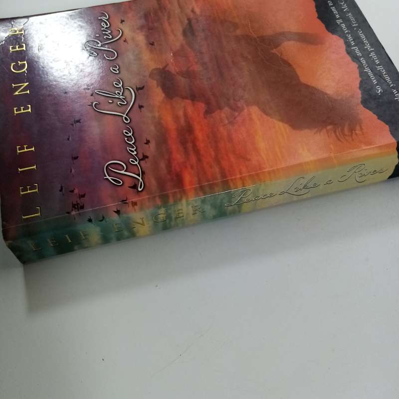 Peace Like a River by Leif Enger