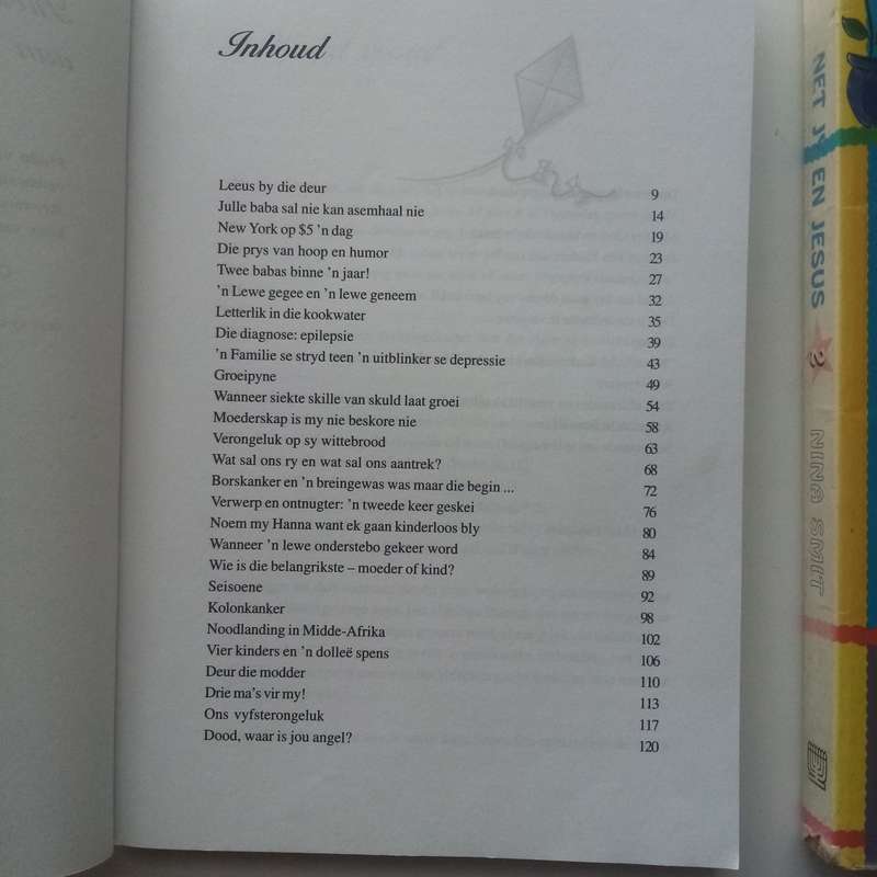 2 Boeke Bundel  Wanneer Die Hemel Naderkom deur Ida Grabe & Net Jy En Jesus 3 deur Nina Smit