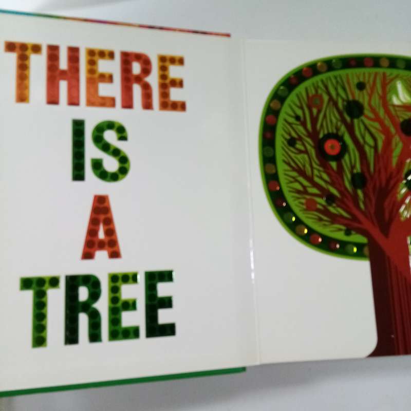 The World Shines for You (A Shine Bright Book) - Childrens Board Book