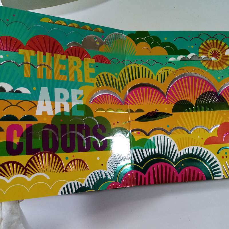 The World Shines for You (A Shine Bright Book) - Childrens Board Book