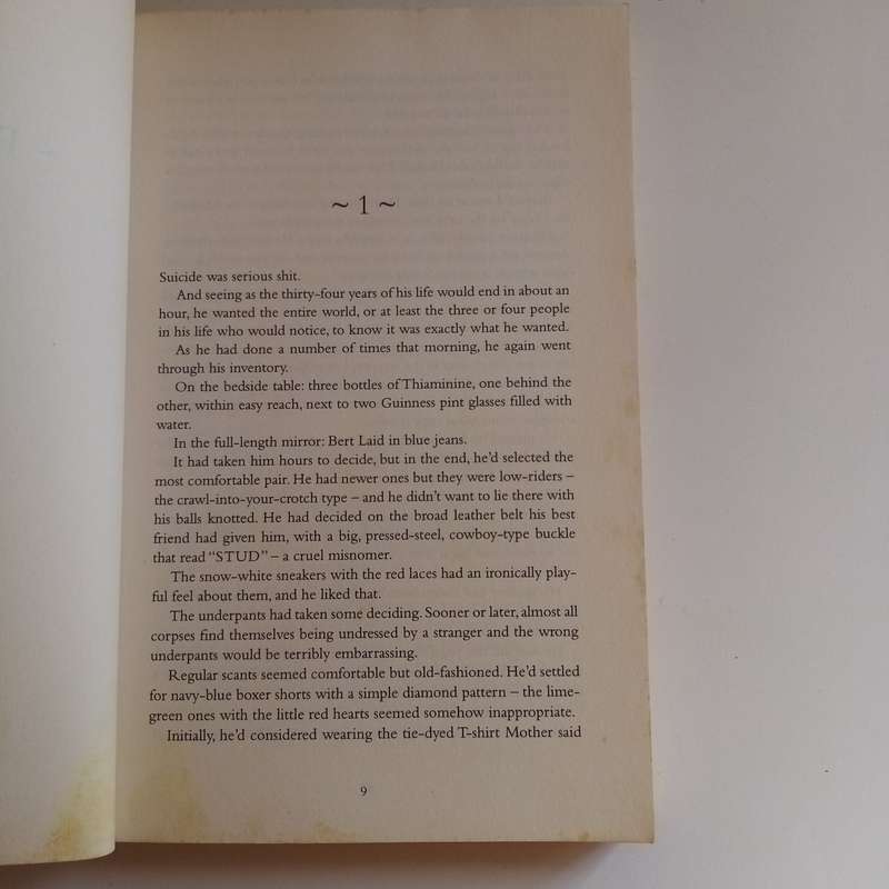 Too Many Tsunamis: A Tale of Love, Light and Incidental Humour  Vincent Pienaar (Paperback)