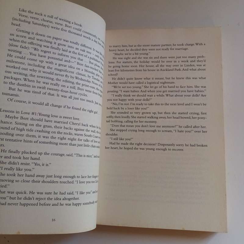 Too Many Tsunamis: A Tale of Love, Light and Incidental Humour  Vincent Pienaar (Paperback)
