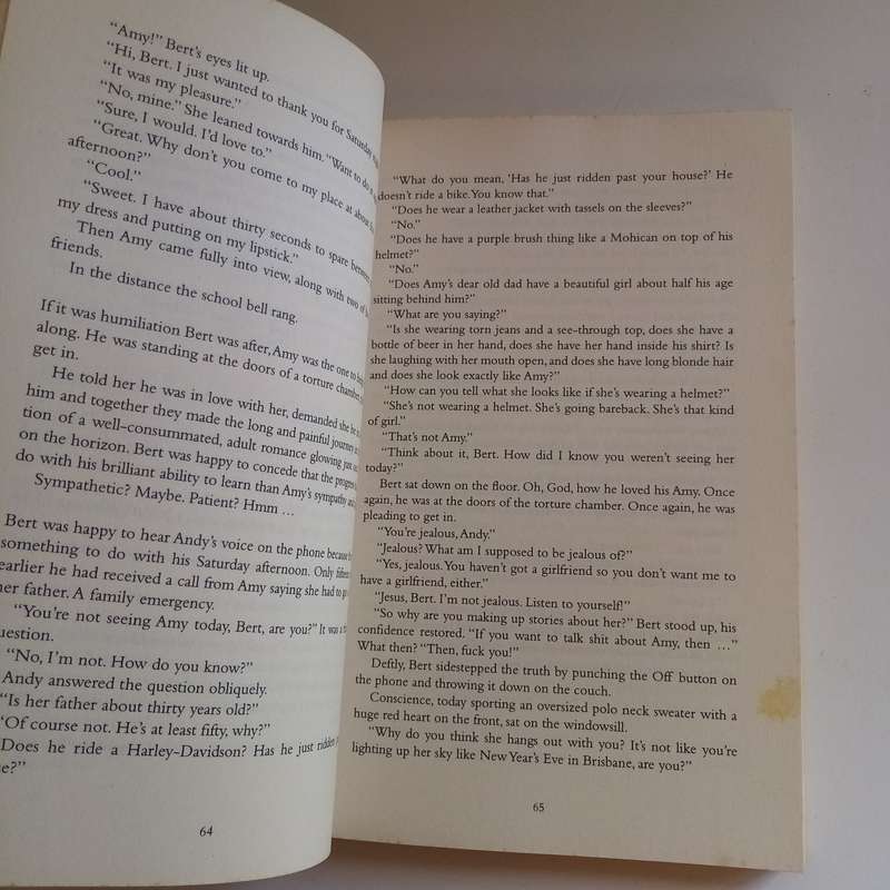 Too Many Tsunamis: A Tale of Love, Light and Incidental Humour  Vincent Pienaar (Paperback)