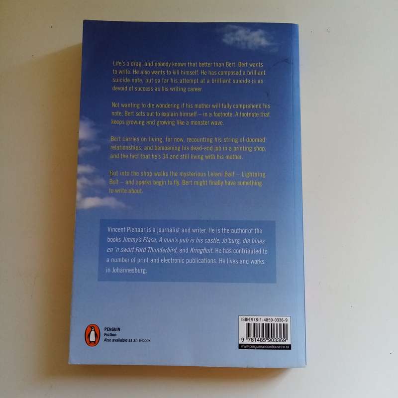 Too Many Tsunamis: A Tale of Love, Light and Incidental Humour  Vincent Pienaar (Paperback)