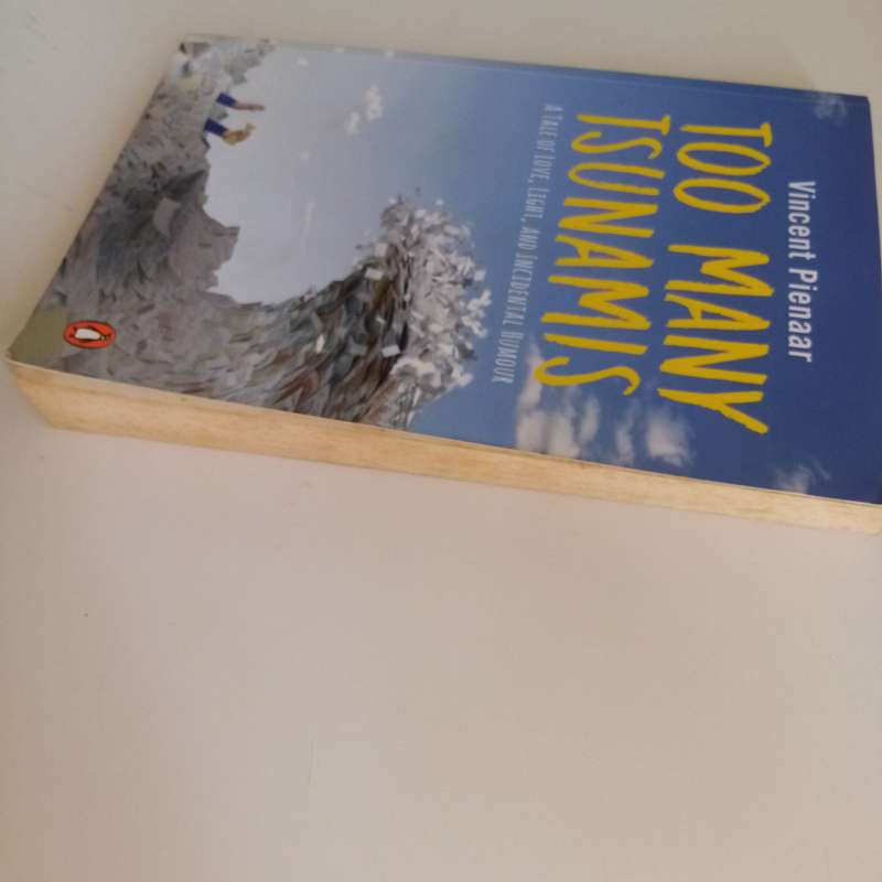 Too Many Tsunamis: A Tale of Love, Light and Incidental Humour  Vincent Pienaar (Paperback)